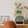 Renaissance Art Calendar – Claude de France, French Artist, Botanical Artwork, Semi-Glossy Paper
