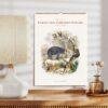 Oliver Goldsmith Wall Calendar – Georgian Decor, Nature Illustration, Semi-Glossy Paper