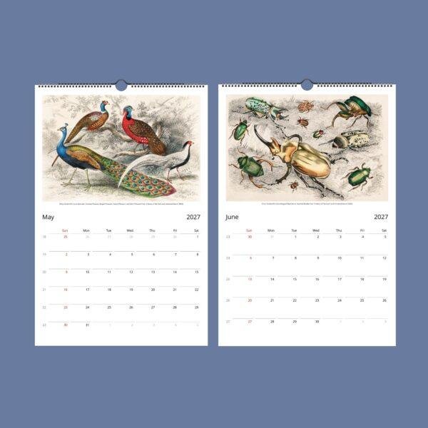 Oliver Goldsmith Wall Calendar – Georgian Decor, Nature Illustration, Semi-Glossy Paper