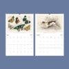 Oliver Goldsmith Wall Calendar – Georgian Decor, Nature Illustration, Semi-Glossy Paper