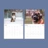 Dog Wall Calendar – Golden Retriever, French Bulldog, Semi-Gloss Paper