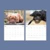Dog Wall Calendar – Golden Retriever, French Bulldog, Semi-Gloss Paper
