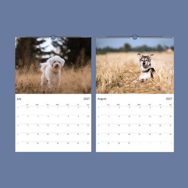 Dog Wall Calendar – Golden Retriever, French Bulldog, Semi-Gloss Paper