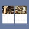 Marine Wildlife Wall Calendar