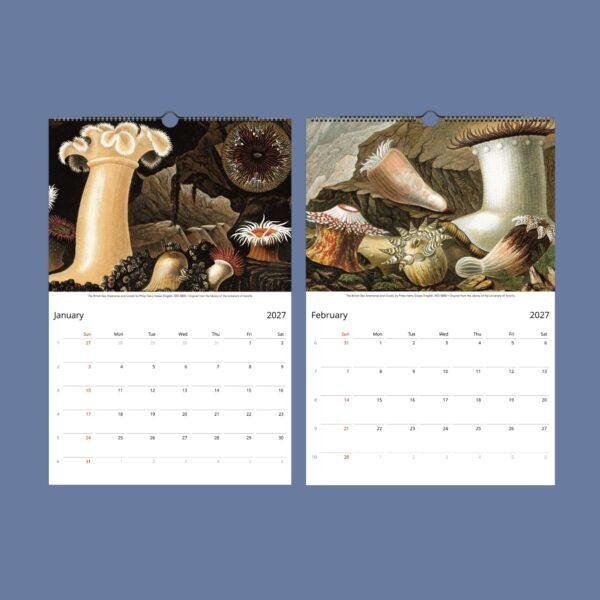 Marine Wildlife Wall Calendar
