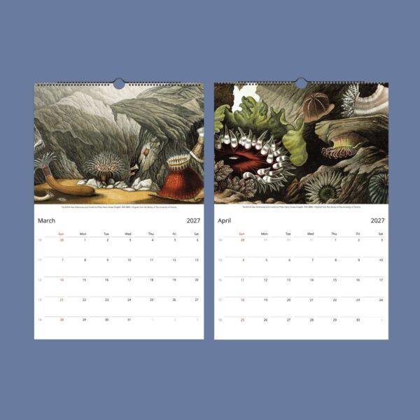Marine Wildlife Wall Calendar