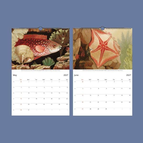 Marine Wildlife Wall Calendar