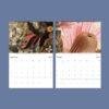 Marine Wildlife Wall Calendar