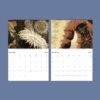 Marine Wildlife Wall Calendar