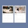 Renaissance Art Wall Calendar - Renaissance Artwork, Greek Mythology, Semi-Glossy Paper