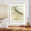 John Ridgway Wall Calendar – American Artist, Bird Artwork, Wildlife Gift, Semi-Glossy Paper