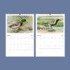 John Ridgway Wall Calendar – American Artist, Bird Artwork, Wildlife Gift, Semi-Glossy Paper