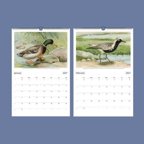 John Ridgway Wall Calendar – American Artist, Bird Artwork, Wildlife Gift, Semi-Glossy Paper