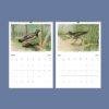 John Ridgway Wall Calendar – American Artist, Bird Artwork, Wildlife Gift, Semi-Glossy Paper