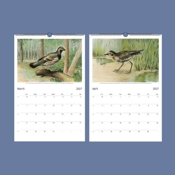 John Ridgway Wall Calendar – American Artist, Bird Artwork, Wildlife Gift, Semi-Glossy Paper