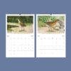 John Ridgway Wall Calendar – American Artist, Bird Artwork, Wildlife Gift, Semi-Glossy Paper