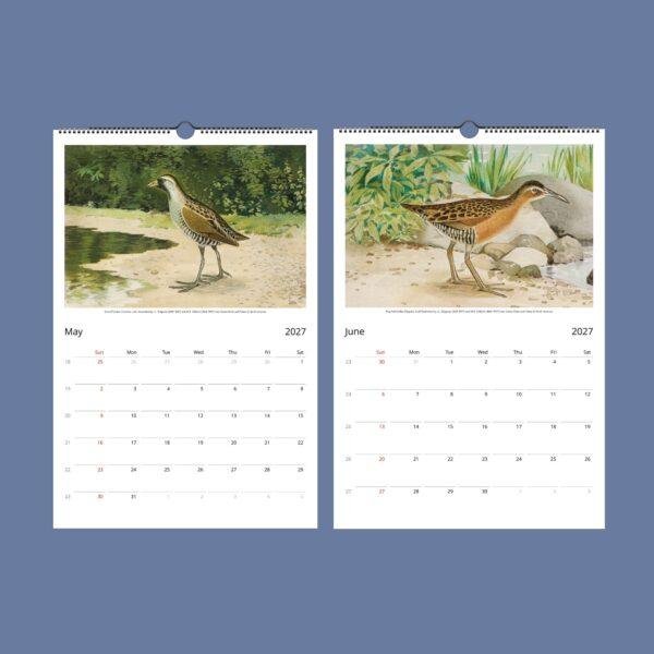 John Ridgway Wall Calendar – American Artist, Bird Artwork, Wildlife Gift, Semi-Glossy Paper