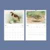 John Ridgway Wall Calendar – American Artist, Bird Artwork, Wildlife Gift, Semi-Glossy Paper