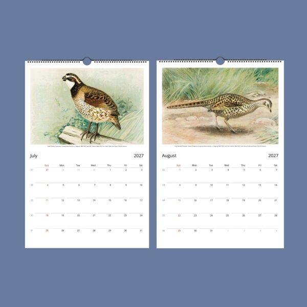 John Ridgway Wall Calendar – American Artist, Bird Artwork, Wildlife Gift, Semi-Glossy Paper