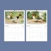 John Ridgway Wall Calendar – American Artist, Bird Artwork, Wildlife Gift, Semi-Glossy Paper