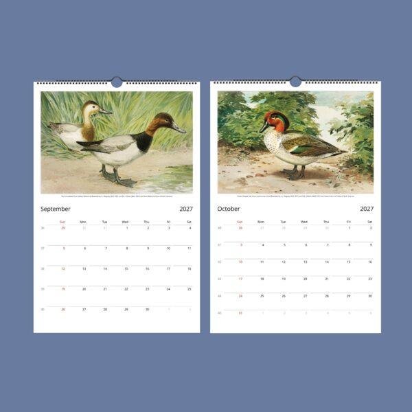 John Ridgway Wall Calendar – American Artist, Bird Artwork, Wildlife Gift, Semi-Glossy Paper