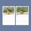 John Ridgway Wall Calendar – American Artist, Bird Artwork, Wildlife Gift, Semi-Glossy Paper
