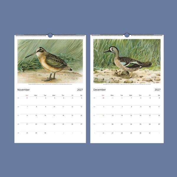 John Ridgway Wall Calendar – American Artist, Bird Artwork, Wildlife Gift, Semi-Glossy Paper