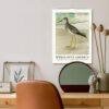 John Ridgway Wall Calendar – American Artist, Bird Artwork, Wildlife Gift, Semi-Glossy Paper