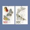 Butterfly Art Wall Calendar