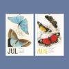 Butterfly Art Wall Calendar
