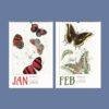 Butterfly Art Wall Calendar