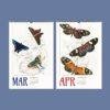 Butterfly Art Wall Calendar