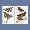 Butterfly Art Wall Calendar