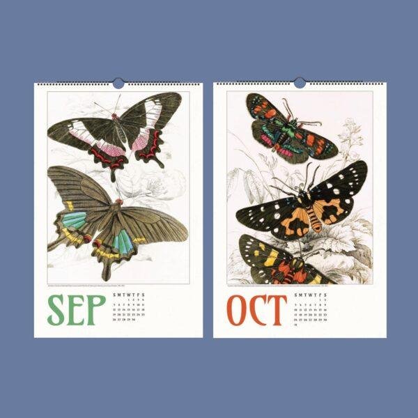 Butterfly Art Wall Calendar