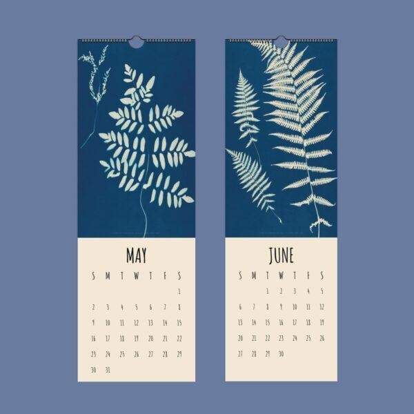 Cyanotypes Wall Calendar