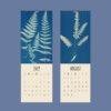 Cyanotypes Wall Calendar
