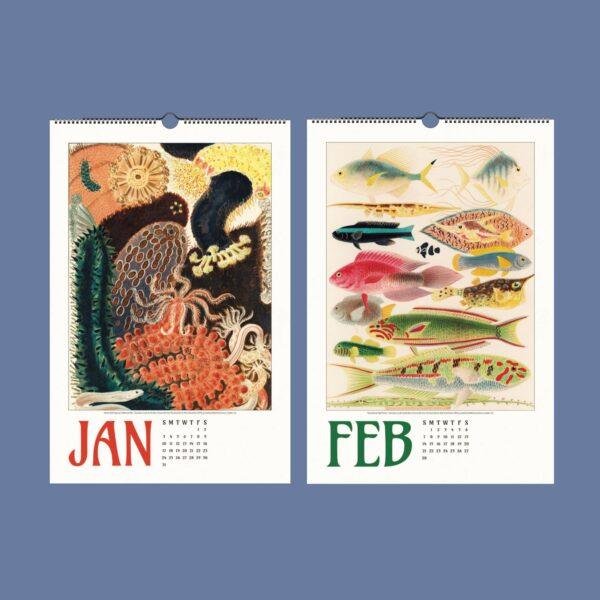 Great Barrier Reef Wall Calendar – Marine Biology, Ocean Explorer, Australian Gift, Semi-Glossy Paper