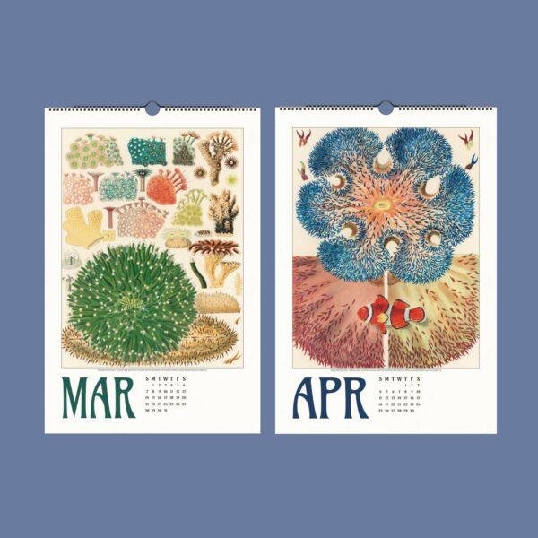 Great Barrier Reef Wall Calendar – Marine Biology, Ocean Explorer, Australian Gift, Semi-Glossy Paper