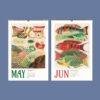 Great Barrier Reef Wall Calendar – Marine Biology, Ocean Explorer, Australian Gift, Semi-Glossy Paper