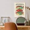 Great Barrier Reef Wall Calendar – Marine Biology, Ocean Explorer, Australian Gift, Semi-Glossy Paper