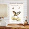 Untamed Africa Wall Calendar – Vintage Wildlife Art Prints, Semi-Glossy Paper