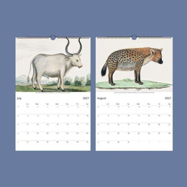 Untamed Africa Wall Calendar – Vintage Wildlife Art Prints, Semi-Glossy Paper