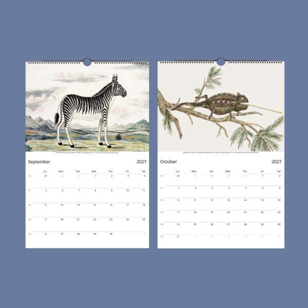 Untamed Africa Wall Calendar – Vintage Wildlife Art Prints, Semi-Glossy Paper