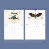 African Wildlife Wall Calendar