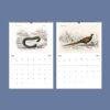 African Wildlife Wall Calendar