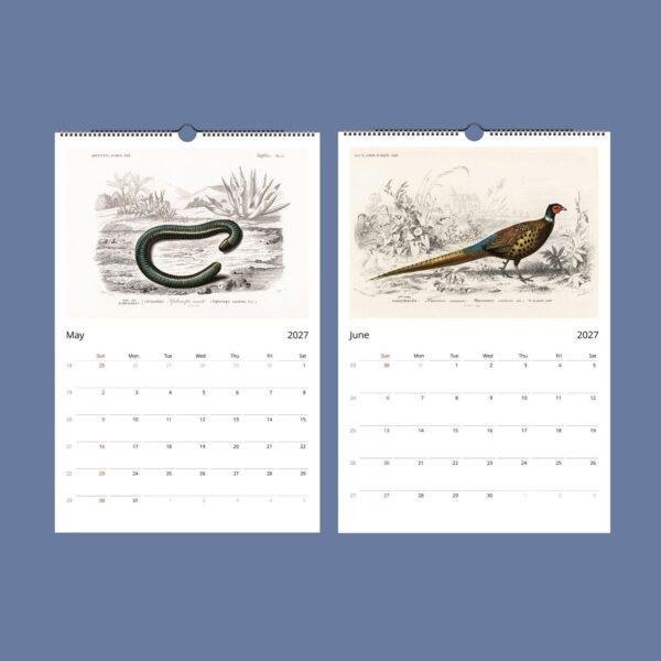 African Wildlife Wall Calendar