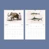 African Wildlife Wall Calendar
