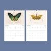 African Wildlife Wall Calendar