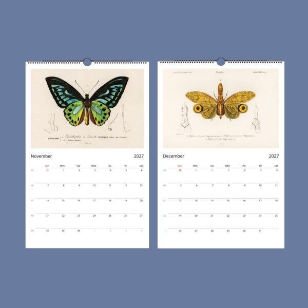 African Wildlife Wall Calendar