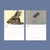 Wildlife Calendar